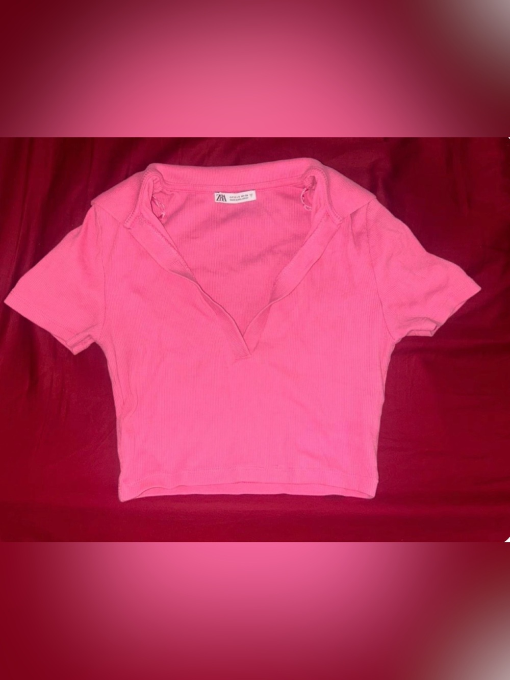 Pink ZARA Crop Top